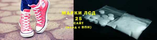 ГАЛЛЮЦИНОГЕННЫЕ ГРИБЫ Пересвет