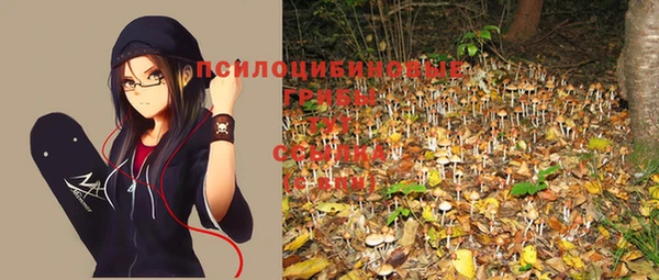 тгк Пестово