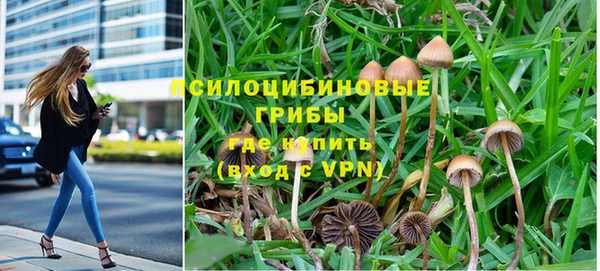 тгк Пестово