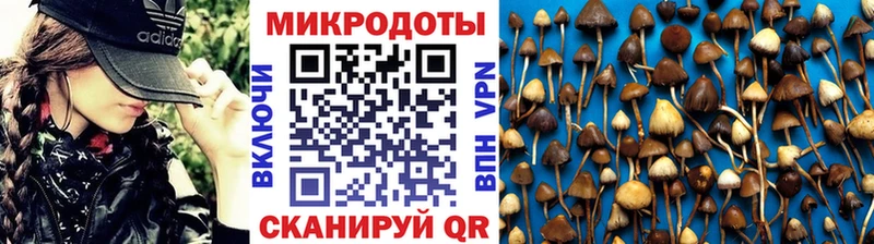 маркетплейс как зайти  mega   Светлогорск  Галлюциногенные грибы Psilocybe 