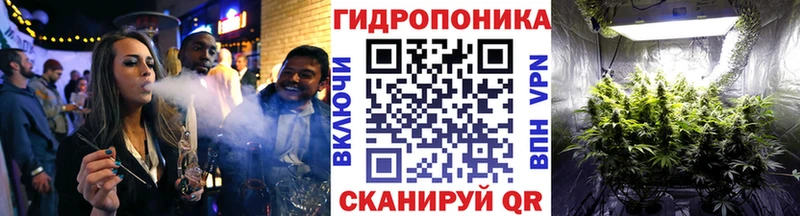 Бошки марихуана Amnesia Светлогорск